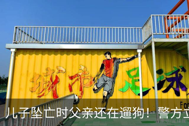 儿子坠亡时父亲还在遛狗！警方立案，母亲曝光铁证，果然有阴谋